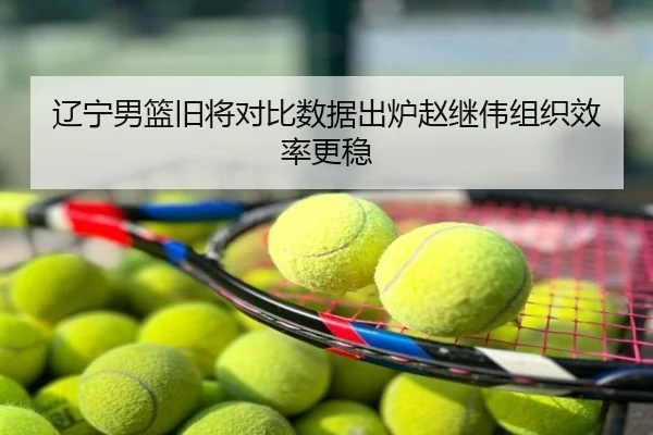 辽宁男篮旧将对比数据出炉赵继伟组织效率更稳